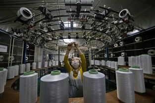 光影鑄魂 工廠工人工匠職工手機攝影大賽線上展示（第一期）——影視拍攝專題